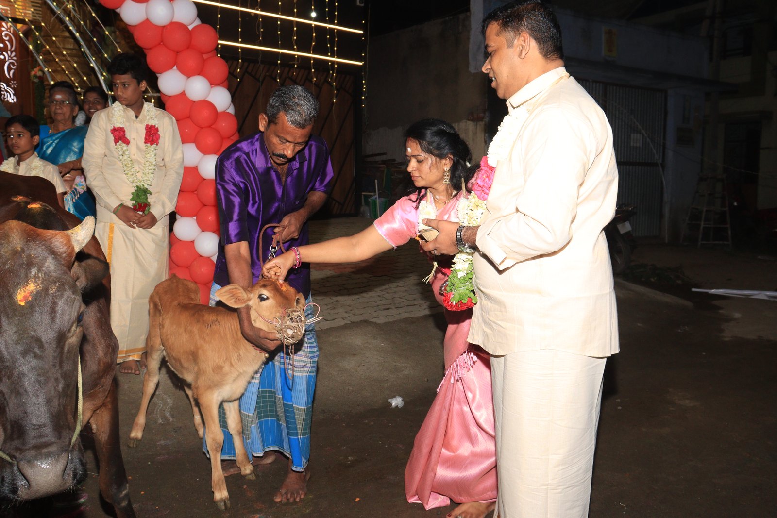 Wedding Family Photo